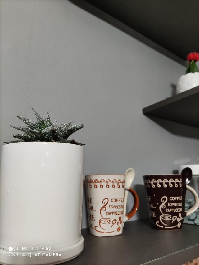 Koa Studio 1 Корча Экстерьер фото